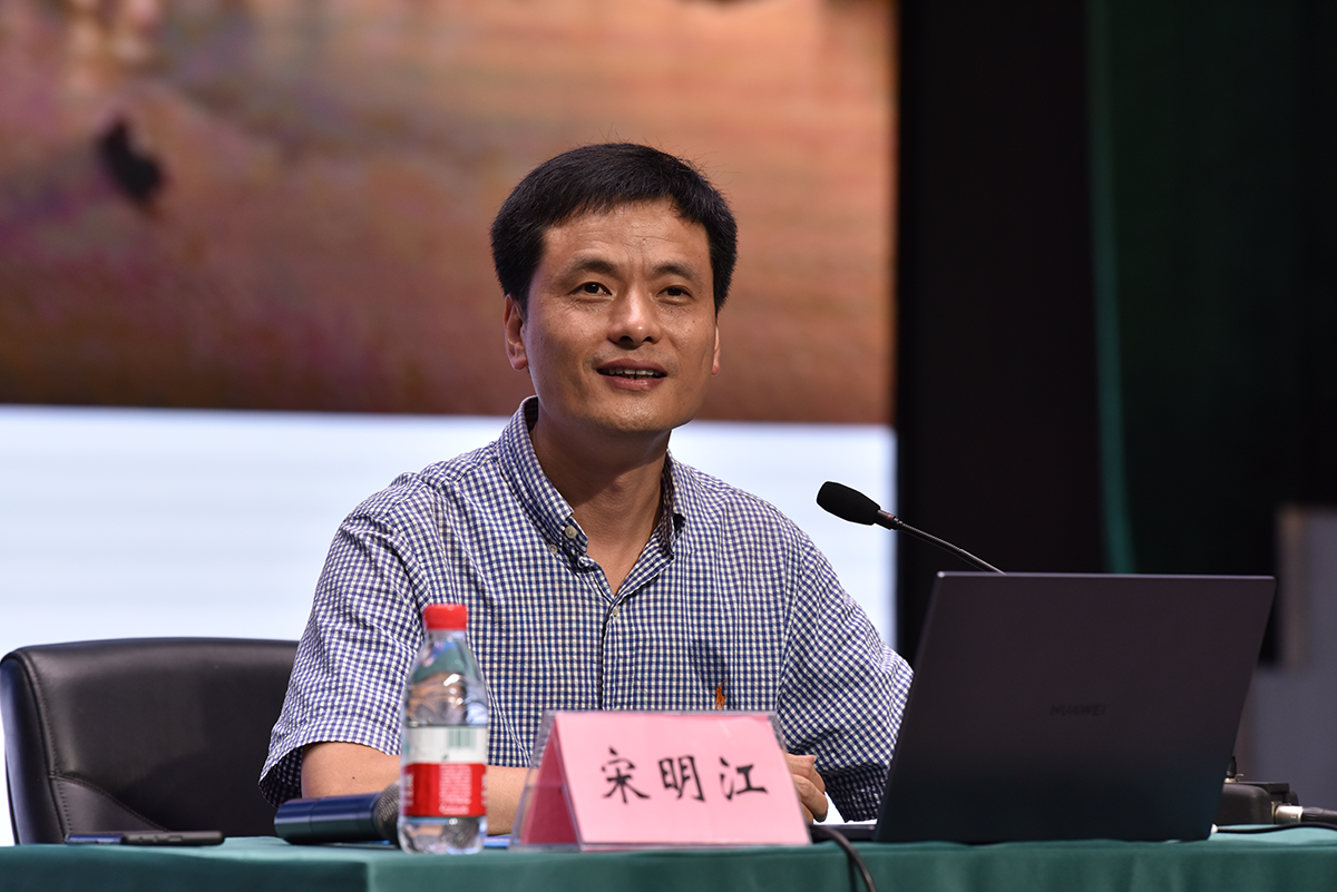 图片44